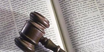 法律咨詢 全面解析常見法律糾紛類型與應對策略