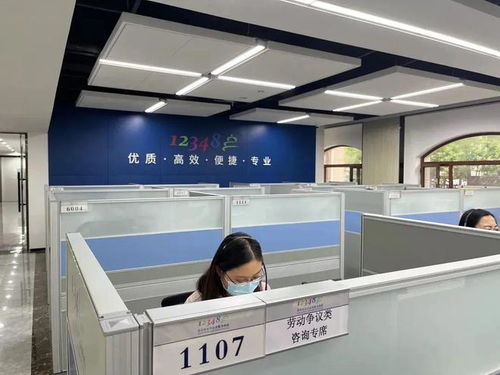 北京12348公共法律服務(wù)熱線半年觀察 婚姻家事與勞動(dòng)糾紛成咨詢熱點(diǎn)，數(shù)字時(shí)代新類型問(wèn)題顯現(xiàn)