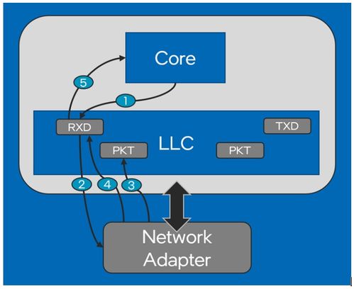英特爾以太網800系列網絡適配器 在DPDK上的性能演進與網絡信息安全軟件開發啟示